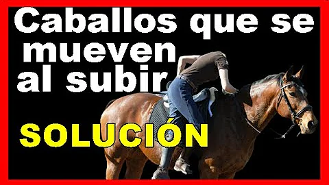 ¿Por qué los caballos mueven la cola al saltar?