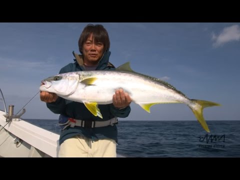 #104 玄界灘の落し込み