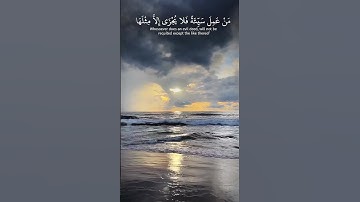 تلاوة هادئة مع الشيخ مشاري العفاسي
