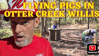 Download Lagu FLYING PIGS IN OTTER CREEK WILLIS MP3