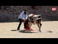 El &quot;Toreo de la Vincha&quot;, la tradición de la puna jujeña en honor a la Virgen de la Asunción