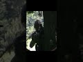 DIRECT SNIPER HEADSHOT #airsoft