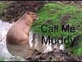 Call Me Muddy!