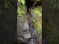 Mossy Stream Over Stone | Real Nature,No Talking 11 #forestsounds #healingnature #deepforest