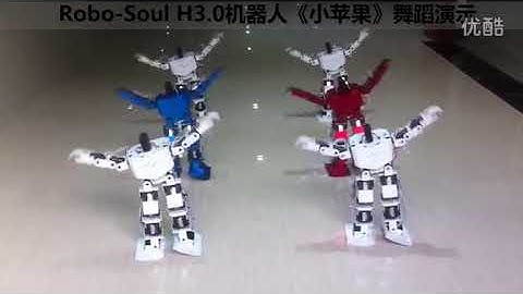 17 Dof Humanoid Robot/Biped Dance / Education Platformt/ Remote Control/DIY Kit