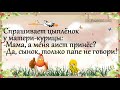 Хорошее настроение обеспечено!!! )) Юмор с нами!