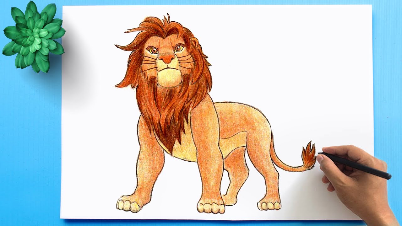 lion drawing images color