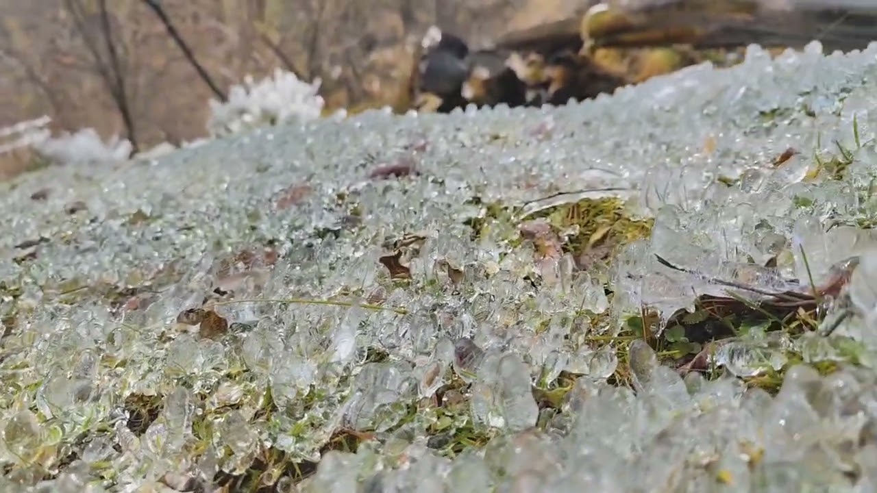 Tourists Enjoying at Drung