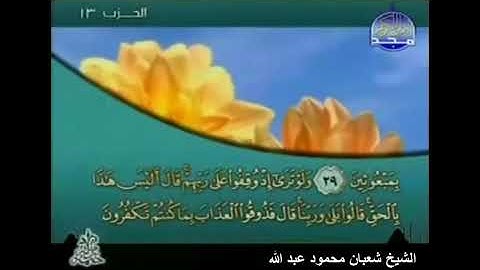 006  -- سورة الانعام " الشيخ شعبان محمود عبد الله " مصحف تراويح 1437 بمد المنفصل " mohamed basyouni