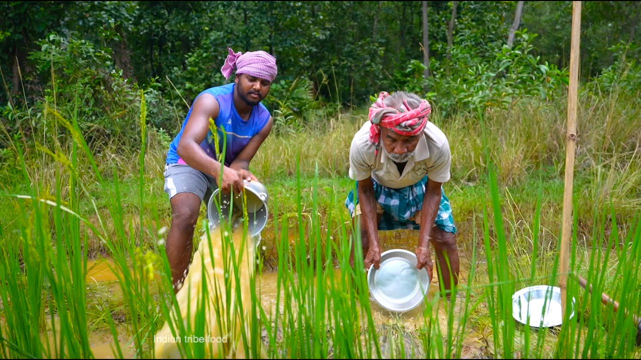 Hand fishing and cooking | village style fishing and eating by old tribal couple | mud fishing