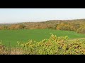 Fall colors  ne iowa