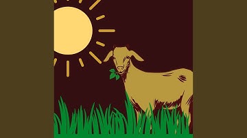 Charming Waltz - Vibe for Amusing Afternoons