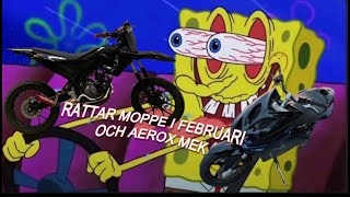 Rattar Moppe I Februari Och Aerox Mek