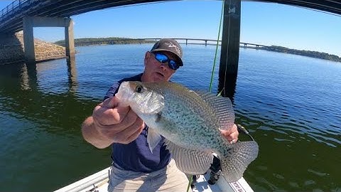 Summer Crappie Fishing Made Easy: Expert Tips Revealed