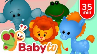 fun animal adventure kids learn play babytv