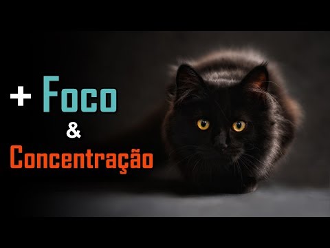 Vídeo: Como Melhorar A Concentração: 12 Dicas Baseadas Na Ciência E Muito Mais