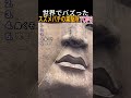 世界でバズったスズメバチの巣駆除トップ6
