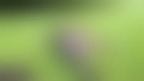 Epic Fails Compilation 2016 "HD" - Best Fails February WEEK #3 - 5