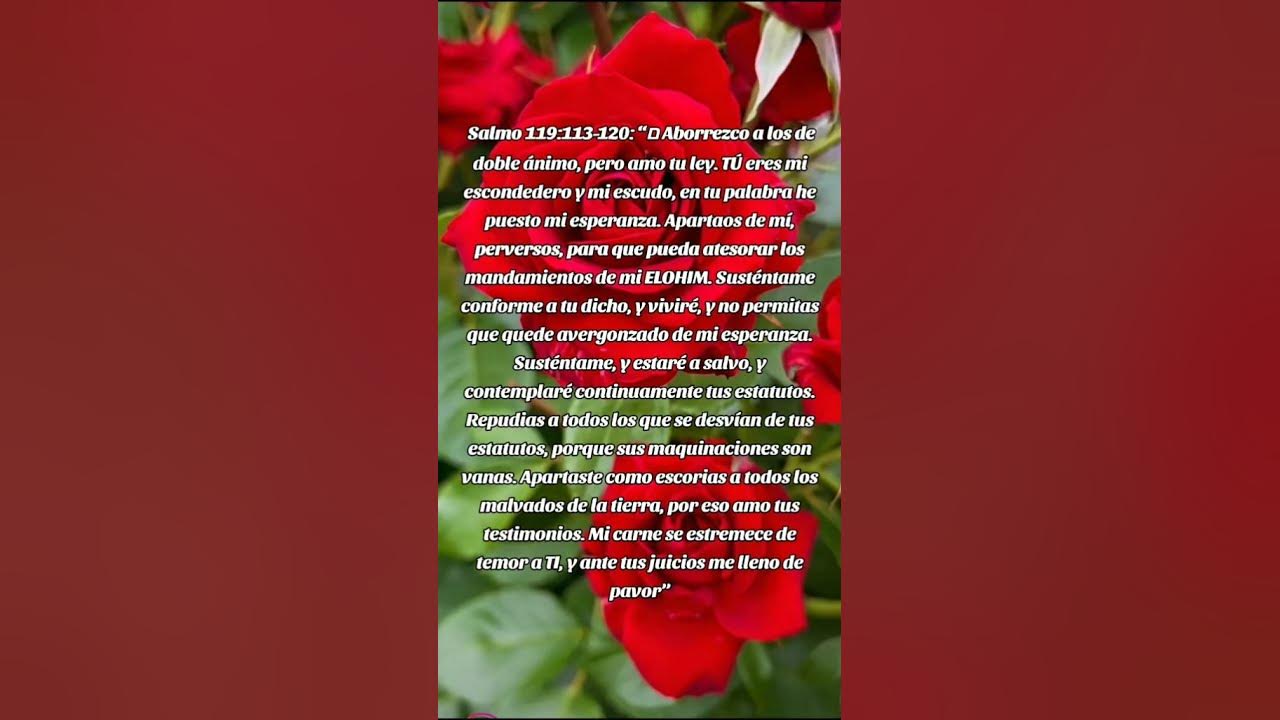 salmo-119-113-120-youtube