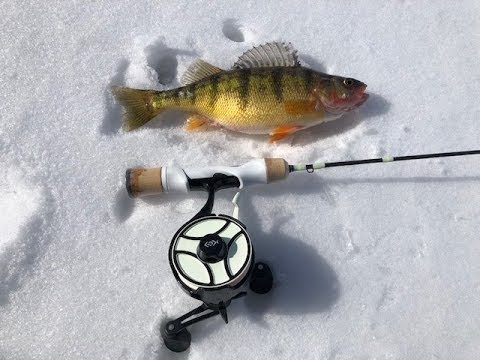 Rockport Perch Ice Fishing 13 Fishing Tickle Stick Light and Super