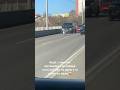 Водії з повагою поставилися до лебедя який вийшов на дорогу та повільно йшов лебідь луцьк