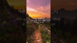 islam#trendin#video#funny #viral #funnyclips#trending #video #ekmotahathighumechala🤲🤲🕌🕌🕌🕋🕋🕋🕋🕋