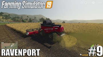 SOYBEANS HARVEST| Ravenport | Timelapse #9 | Farming Simulator 19