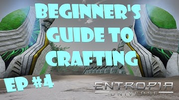 Beginner