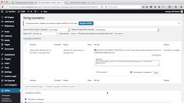 Flothemes :: WPML Strings Translation