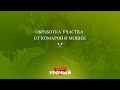 Как избавиться от насекомых летом. Обработка участка от комаров и мошек.