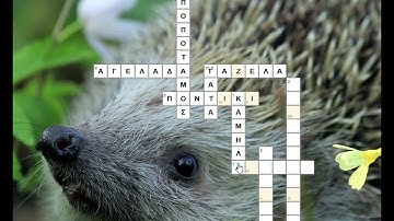 Learningapps.org-Άσκηση Crossword (Σταυρόλεξο)