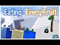 Eating Every Devil Fruit I Find Challenge #3 | Roblox: Blox Fruits Challenges