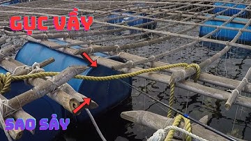 118/ Câu IKADA cảm giác cá ăn trên tray cực phê . Gục ngọn càn phê nữa .Câu IKADA / IKADA FISHING