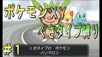 ポケモンxy草タイプ縛り実況 End Youtube