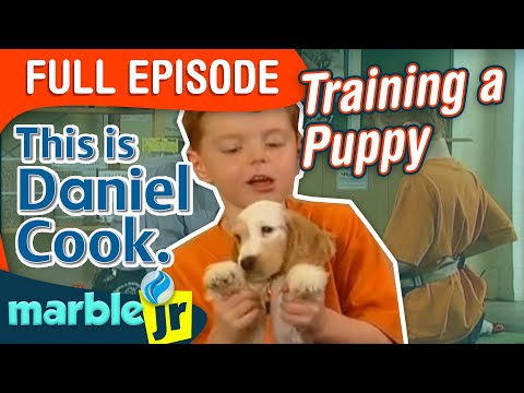 This is Daniel Cook - Season 1 - This is Daniel Cook Training a Puppy