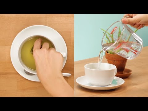 4 trucos para reutilizar BOLSAS de TÉ usadas 💡 hqdefault