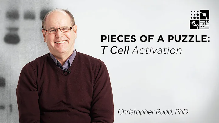 Pieces of a Puzzle: T-Cell Activation