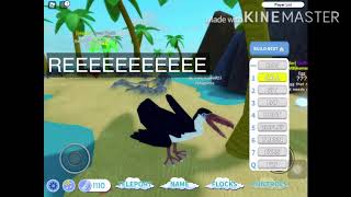 ROBLOX feather family pelagornis showcase!