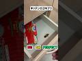 ゴキブリのNG or PERFECT