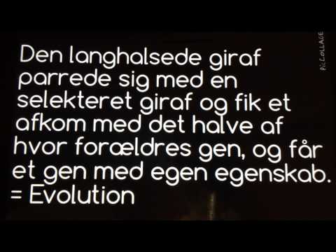 Video: Forskellen Mellem Naturlig Udvælgelse Og Evolution