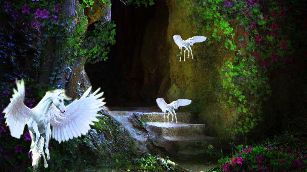 Secret Garden Fields Of Fortune Youtube youtube