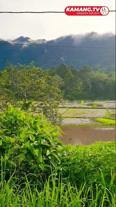 Carito nagari Kamang 06 # kamangtv