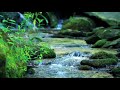 Водена Медитация за Благодарност - Юли Тонкин