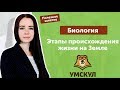 Этапы происхождения жизни на Земле | Биология | ЕГЭ 2019 | УМСКУЛ