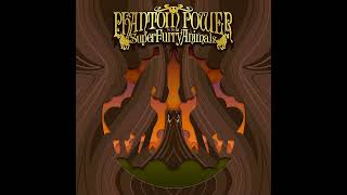 Super Furry Animals - Valet Parking (5.1 Surround Sound)