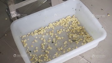 Vegetable&Fruie dicing machine potato dicer carrot cube Ginger dice cutting machine