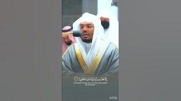 تلاوة تلامس القلب بصوت الشيخ ياسر الدوسري 🤩♥️
