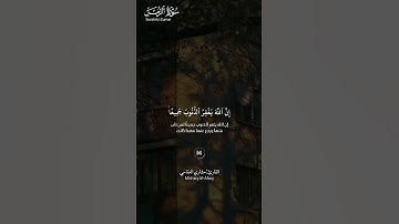#سورة_الزمر ||حالات واتس قرآن ||القارئ#مشاري_العفاسي #تلاوة_هادئة #المصحف #راحة_نفسية