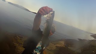 Big Makerel Fishing - Light Game - Hookers The Northen Light screenshot 3