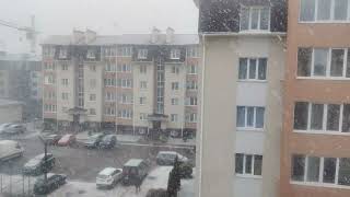 #Снег и #Снегопад - Зимняя #Погода Сейчас за Окном в Украине Snow & Snowfall Winter Weather Now